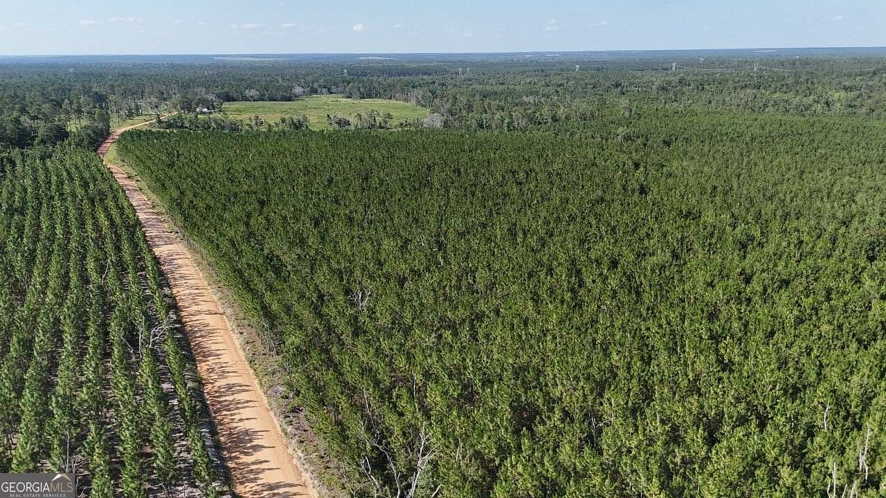 4.69 Acres of Residential Land for Sale in Baxley, Georgia