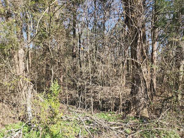 8.34 Acres of Mixed-Use Land for Sale in Fairview, Tennessee