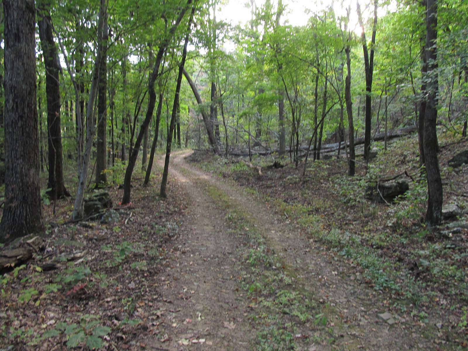 40 Acres of Recreational Land for Sale in Hindsville, Arkansas