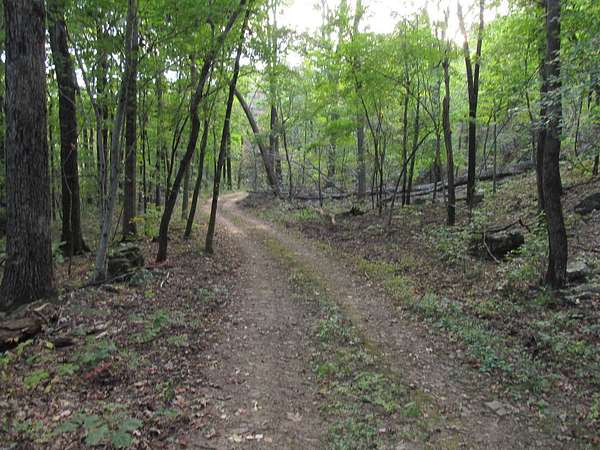 40 Acres of Recreational Land for Sale in Hindsville, Arkansas