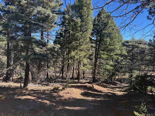 0.5 Acres of Residential Land for Sale in Angel Fire, New Mexico