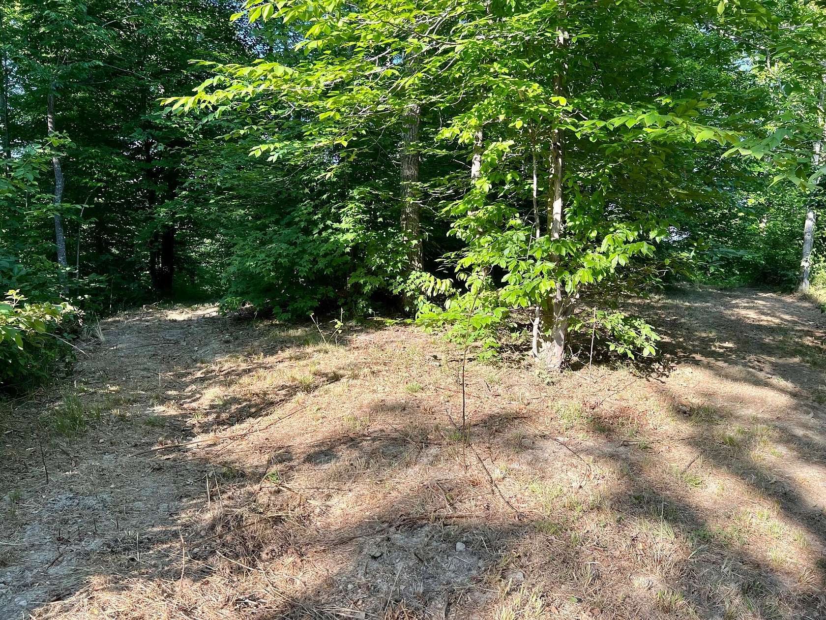 45 Acres of Land for Sale in Beattyville, Kentucky