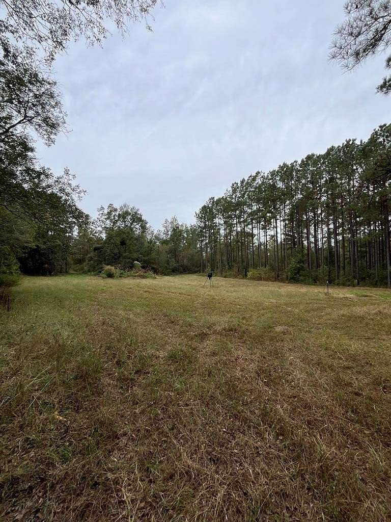 65 Acres of Recreational Land for Sale in Bakerhill, Alabama