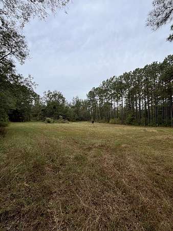 65 Acres of Recreational Land for Sale in Bakerhill, Alabama