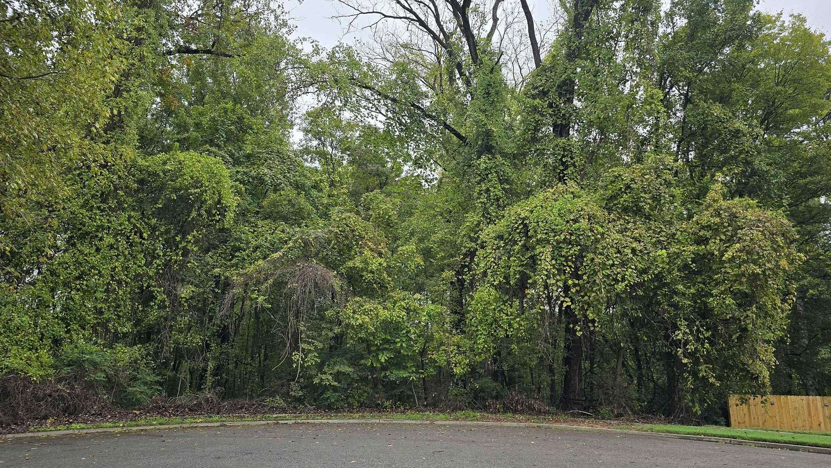 0.21 Acres of Residential Land for Sale in Memphis, Tennessee