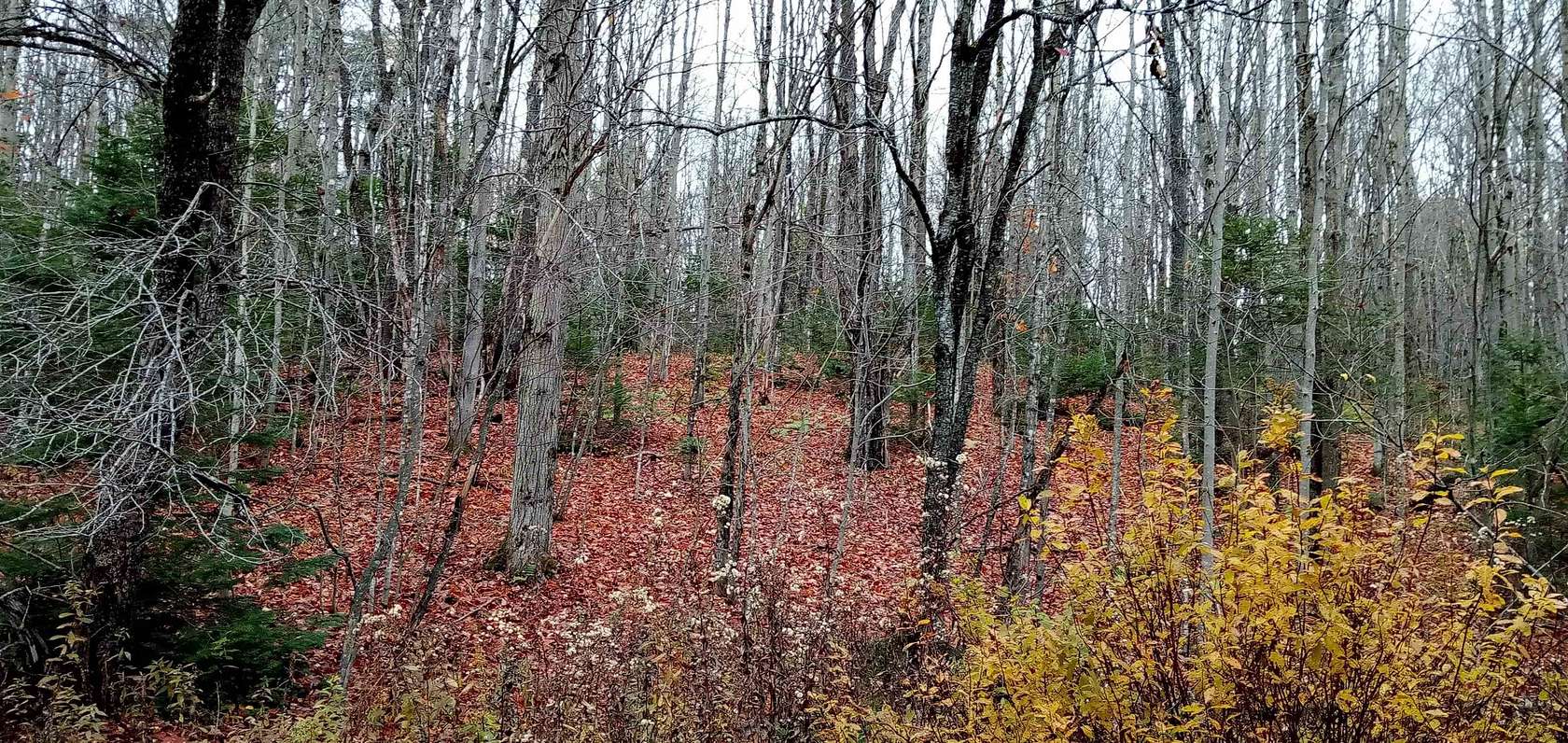 9 Acres of Agricultural Land for Sale in Eden, Vermont