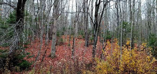 9 Acres of Agricultural Land for Sale in Eden, Vermont