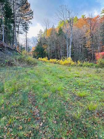 50.5 Acres of Recreational & Residential Land for Sale in Springfield, Vermont