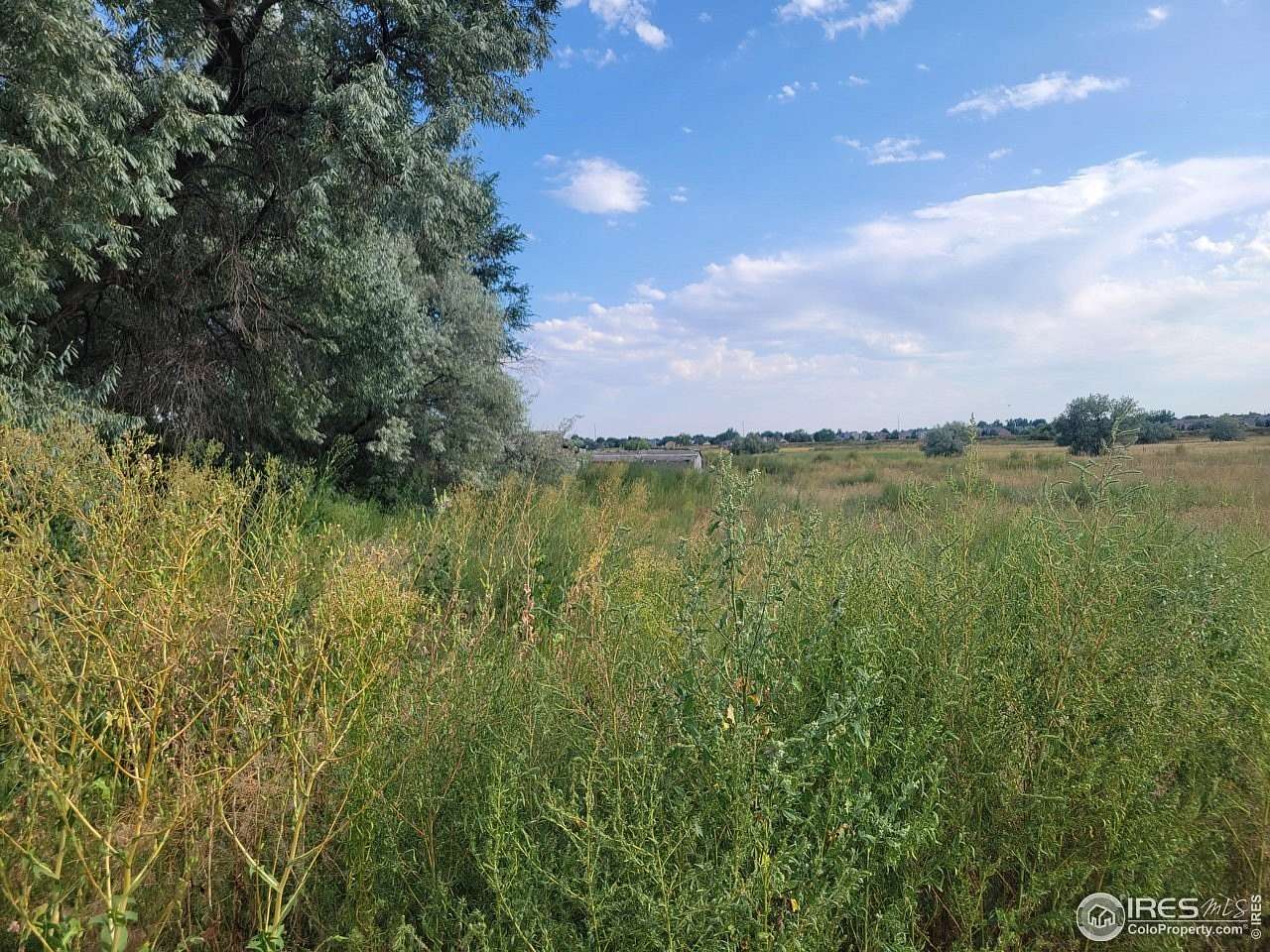 5.63 Acres of Residential Land for Sale in Longmont, Colorado