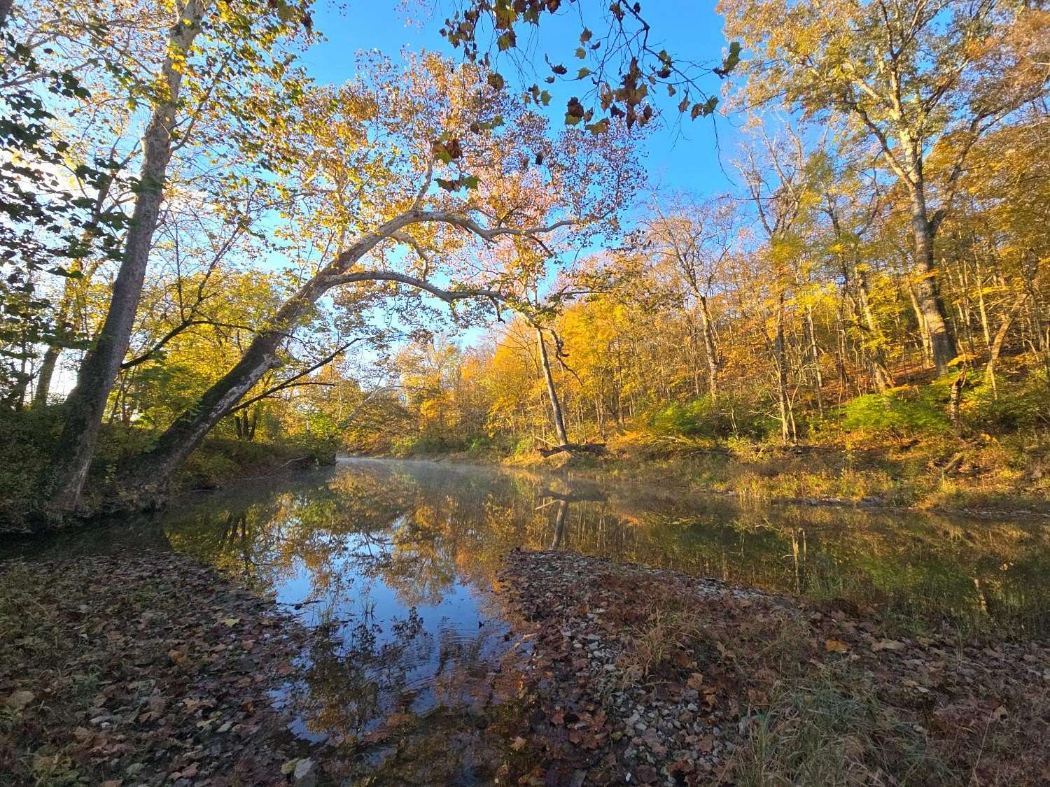 26.5 Acres of Recreational Land & Farm for Sale in Aurora, Indiana