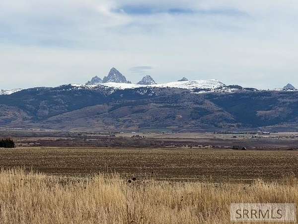 58.8 Acres of Improved Agricultural Land for Sale in Driggs, Idaho