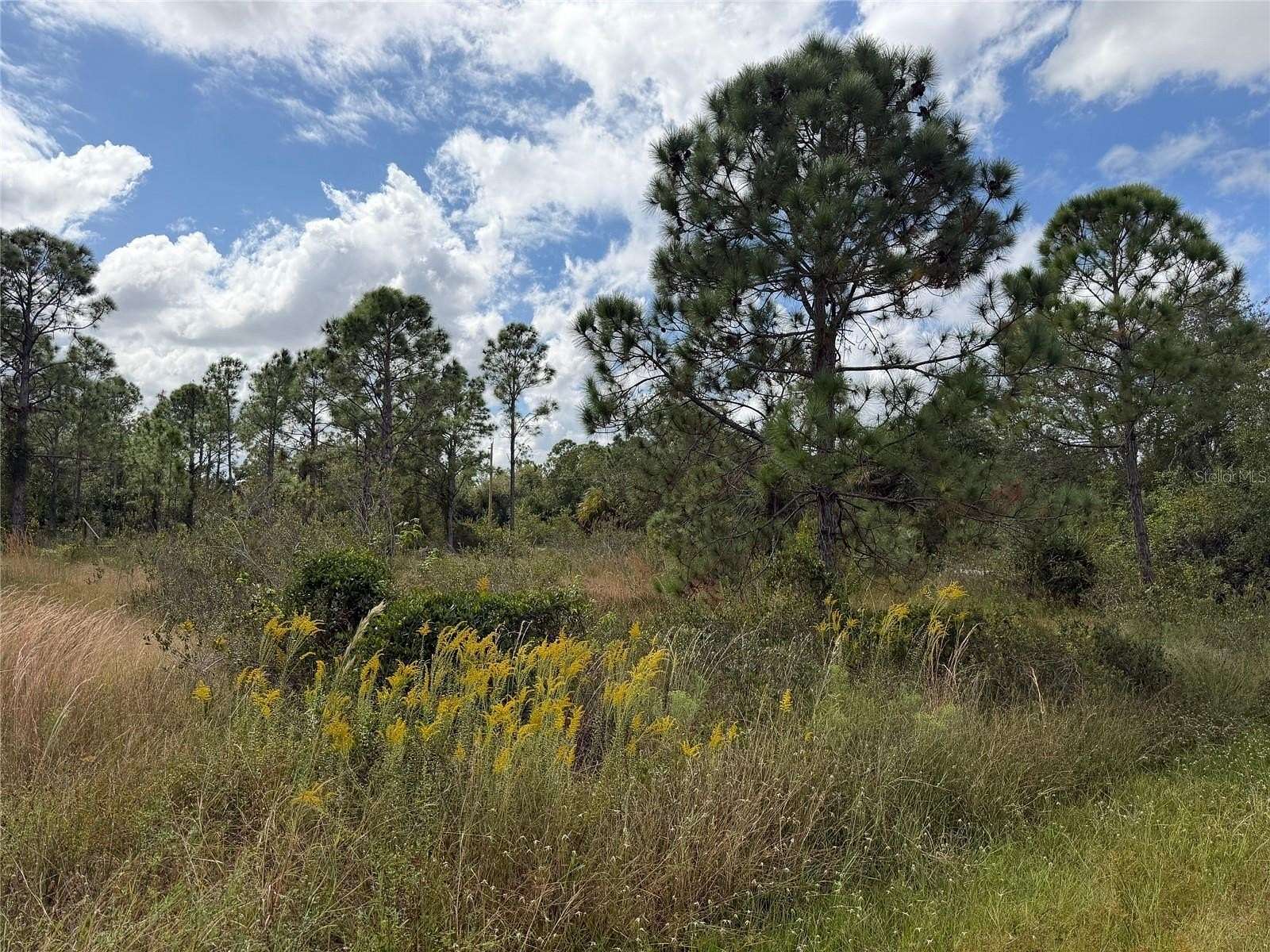 0.17 Acres of Land for Sale in Punta Gorda, Florida