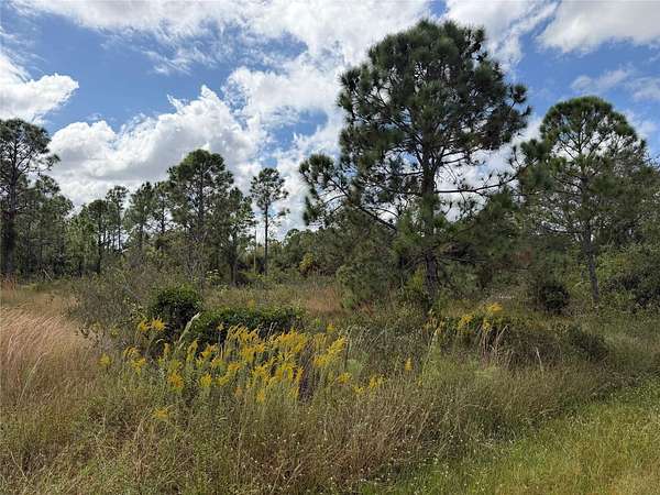 0.17 Acres of Land for Sale in Punta Gorda, Florida