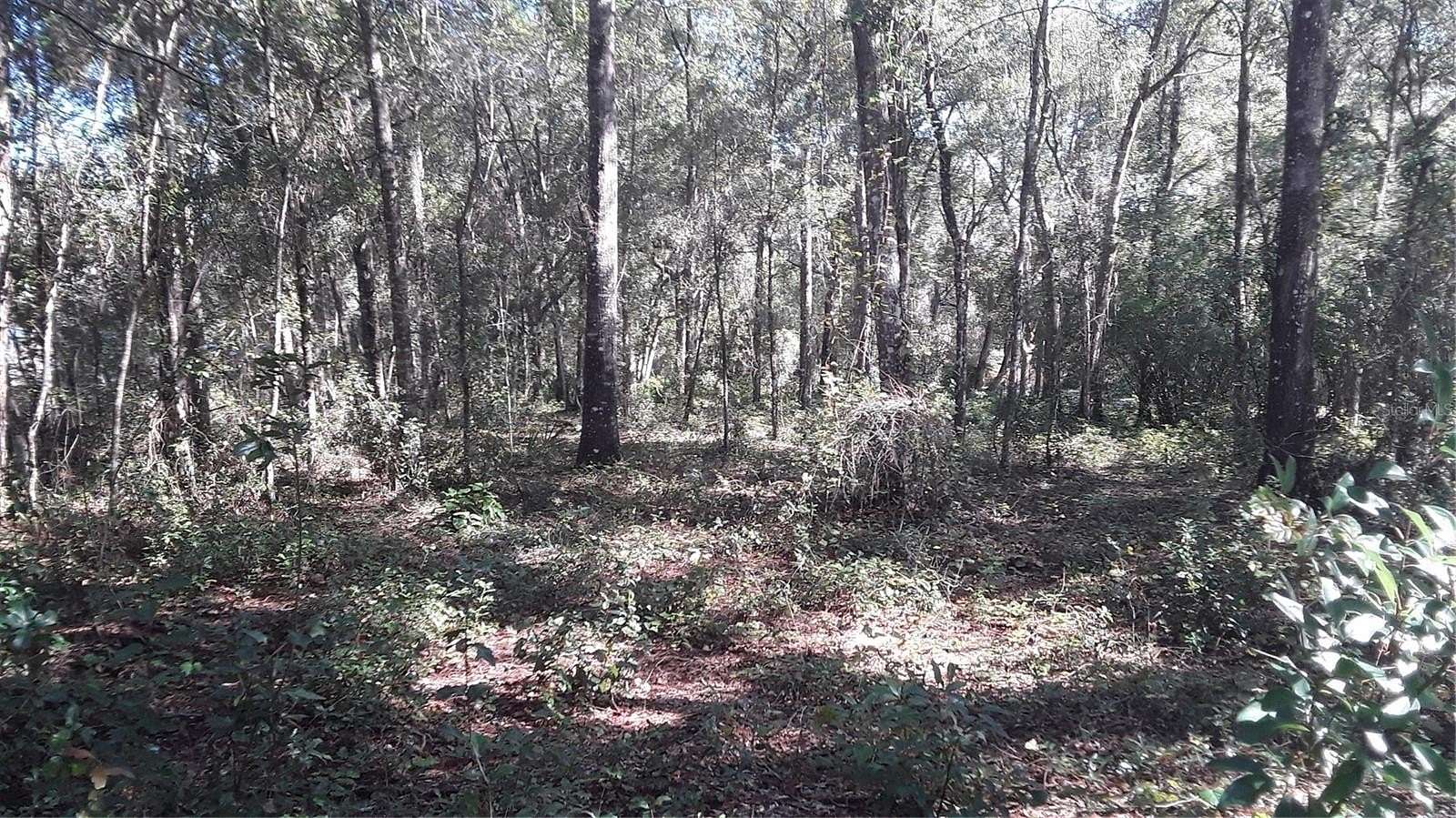 0.23 Acres of Land for Sale in Inverness, Florida
