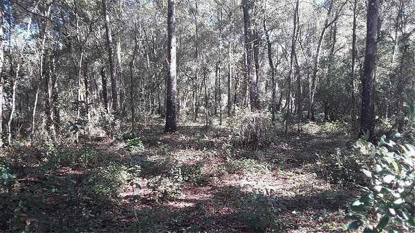 0.23 Acres of Land for Sale in Inverness, Florida