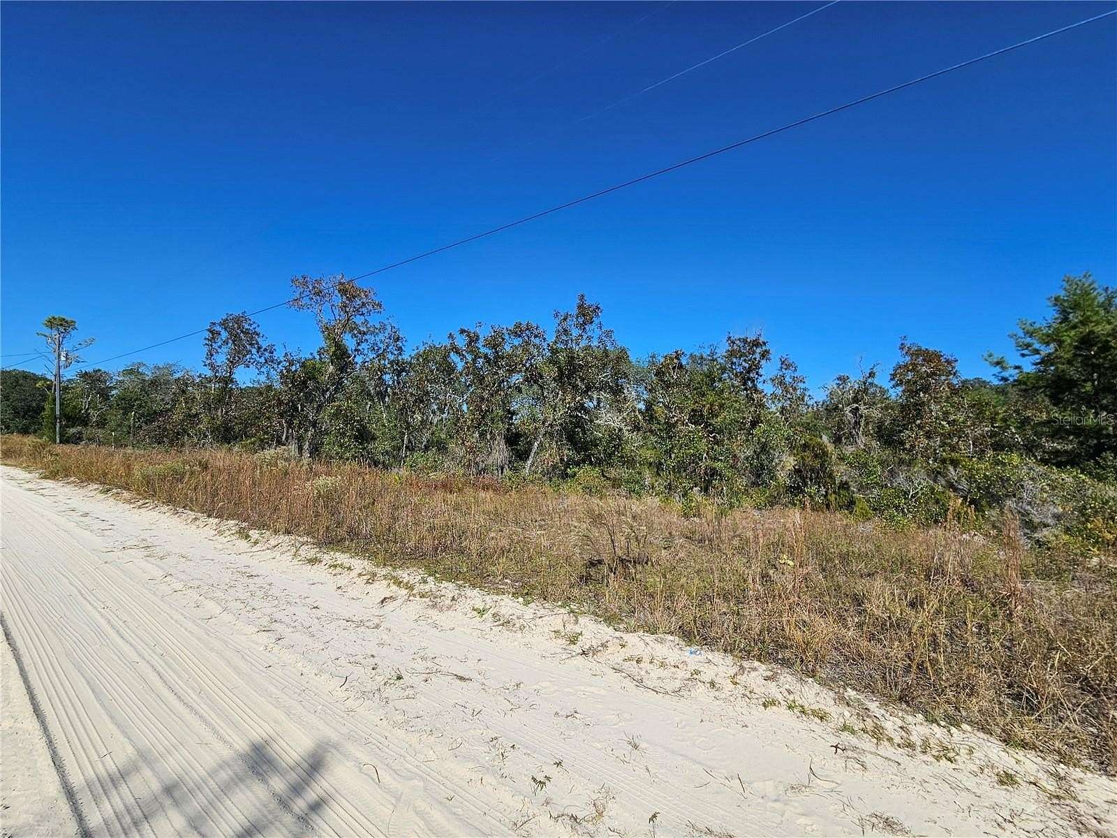 0.96 Acres of Residential Land for Sale in Williston, Florida