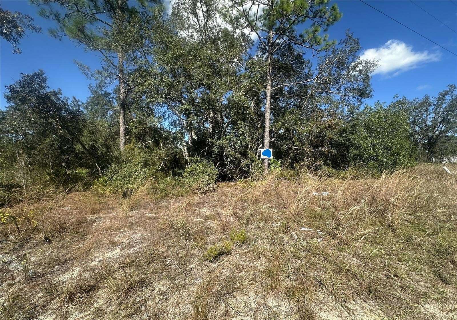 0.24 Acres of Land for Sale in Williston, Florida