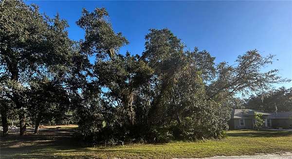 0.55 Acres of Residential Land for Sale in Webster, Florida