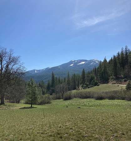 29.8 Acres of Recreational & Residential Land for Sale in Fort Jones, California