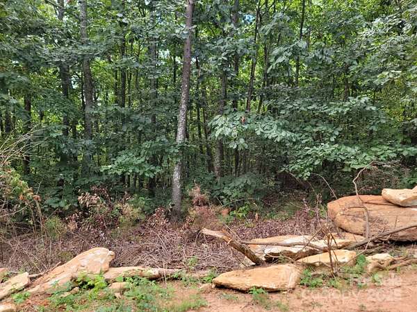 5.36 Acres of Residential Land for Sale in Casar, North Carolina
