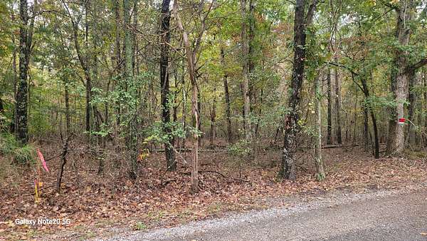 5 Acres of Residential Land for Sale in Winchester, Tennessee