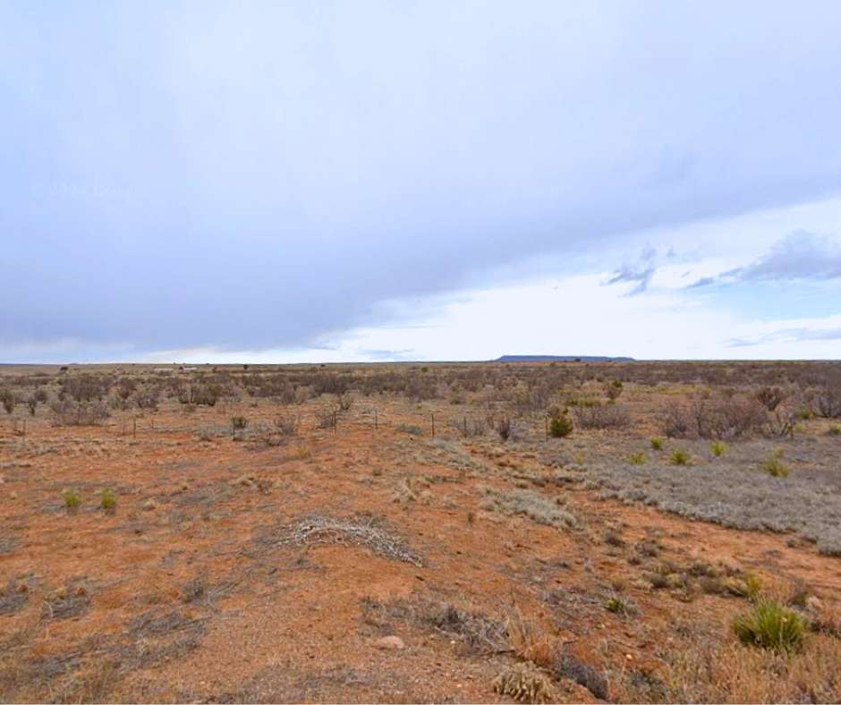 5 Acres of Land for Sale in Conchas Dam, New Mexico