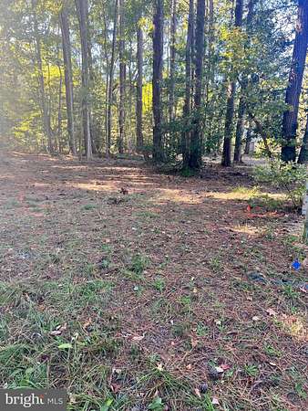 0.35 Acres of Residential Land for Sale in Montross, Virginia
