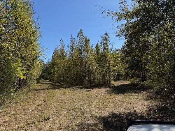 84 Acres of Recreational Land for Sale in Moscow, Tennessee
