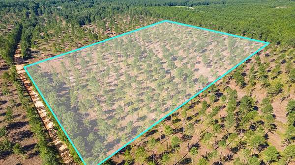 15 Acres of Agricultural Land for Sale in Wagener, South Carolina