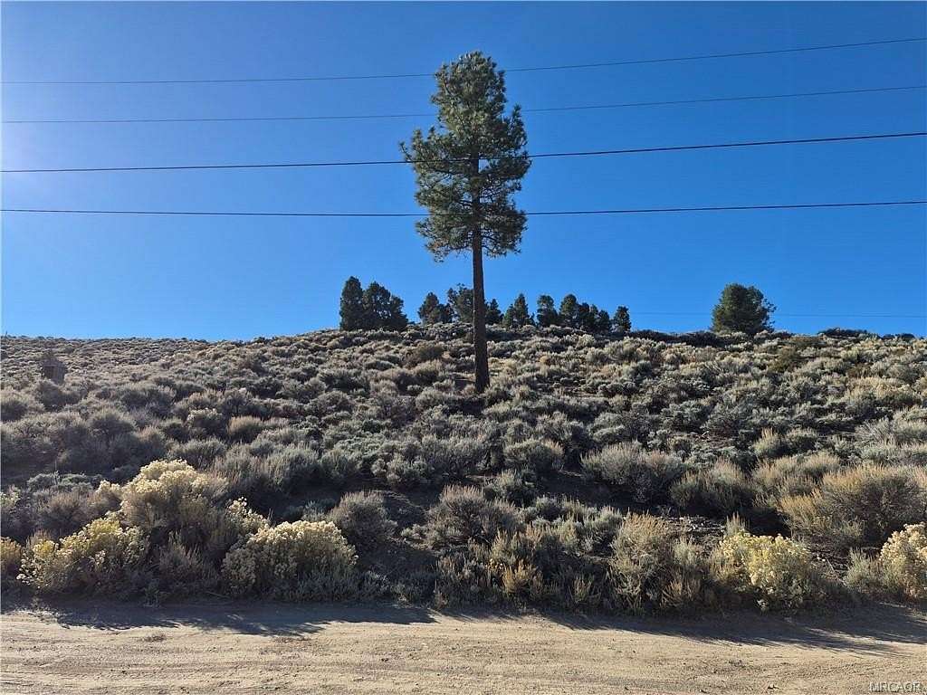Land for Sale in Big Bear City, California