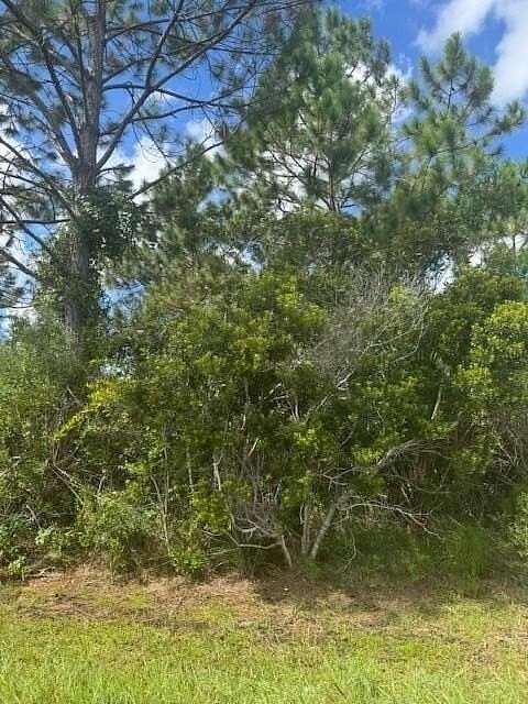 0.23 Acres of Residential Land for Sale in Palm Coast, Florida