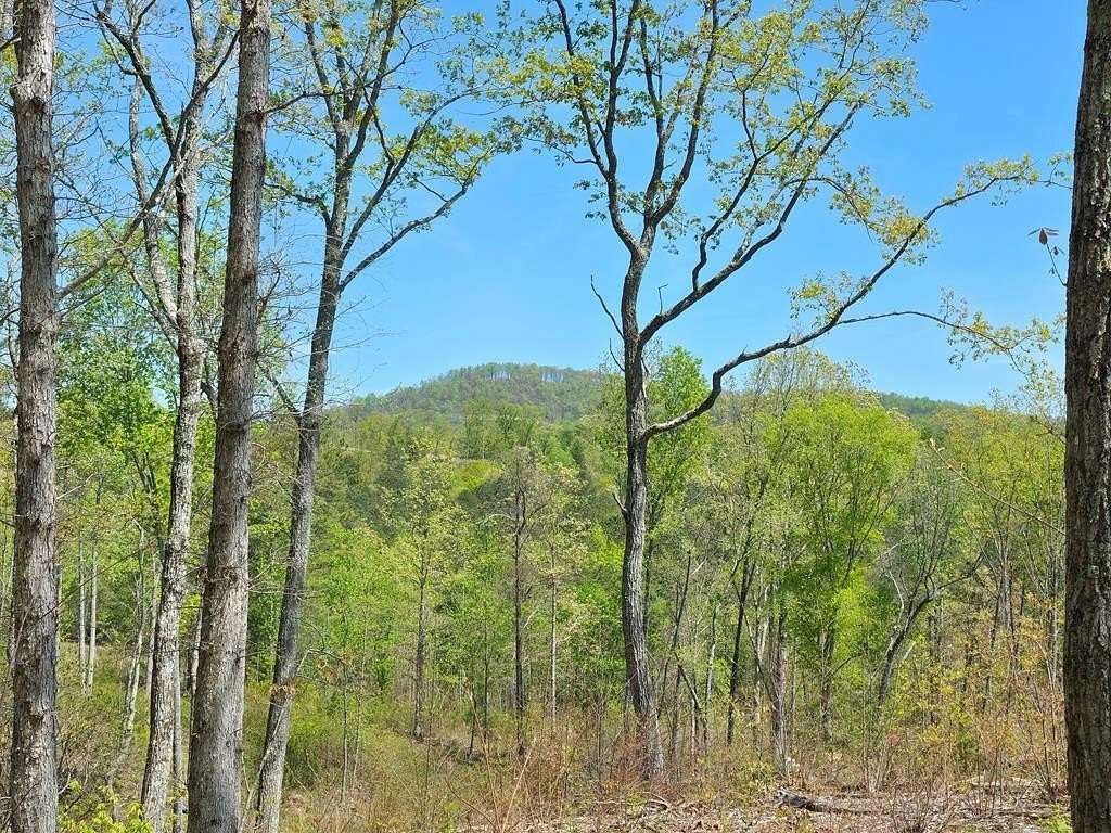 1.6 Acres of Land for Sale in Talking Rock, Georgia