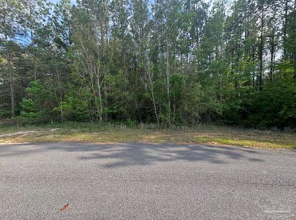 5 Acres of Land for Sale in Jay, Florida
