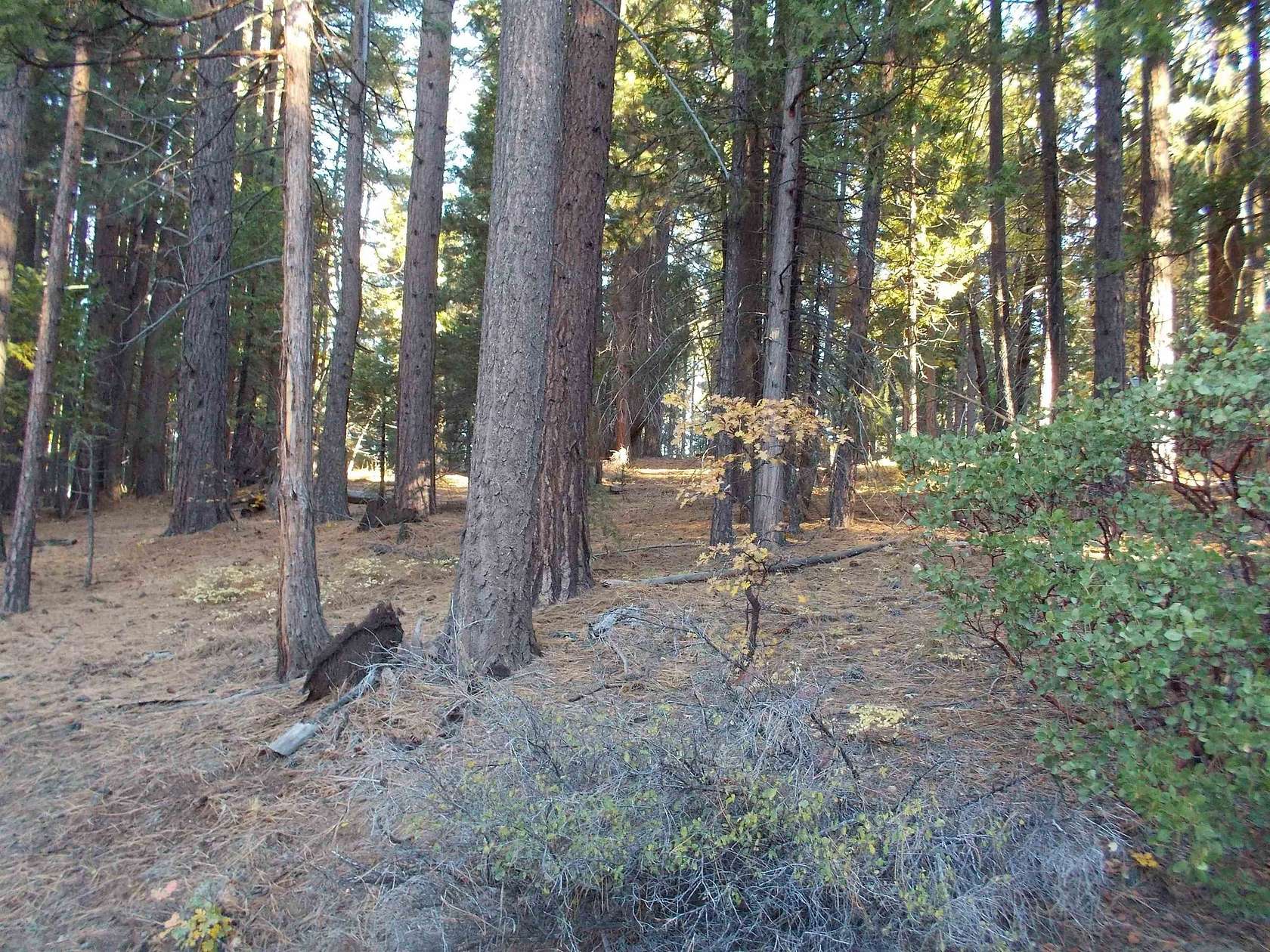 0.33 Acres of Residential Land for Sale in Quincy, California