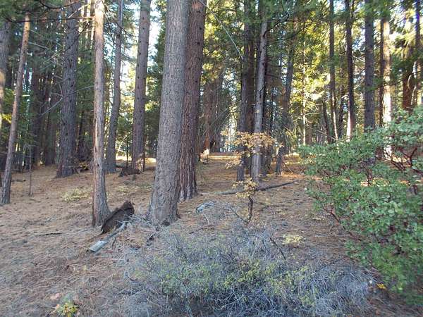 0.33 Acres of Residential Land for Sale in Quincy, California