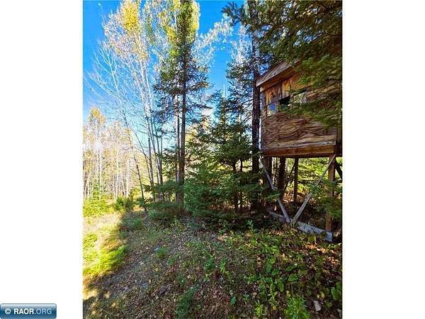 34 Acres of Recreational Land for Sale in Chisholm, Minnesota