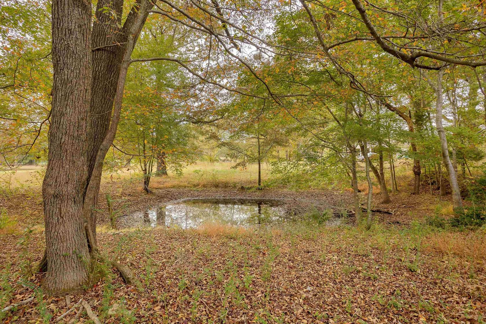 7.16 Acres of Residential Land for Sale in Tuscumbia, Alabama