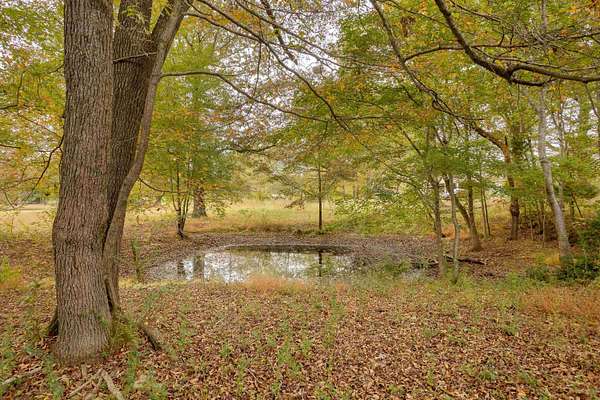 7.16 Acres of Residential Land for Sale in Tuscumbia, Alabama