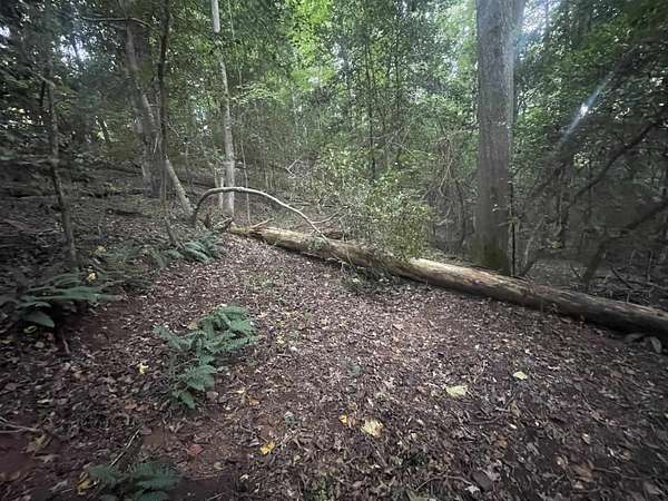 44 Acres of Recreational Land for Sale in Pickens, South Carolina