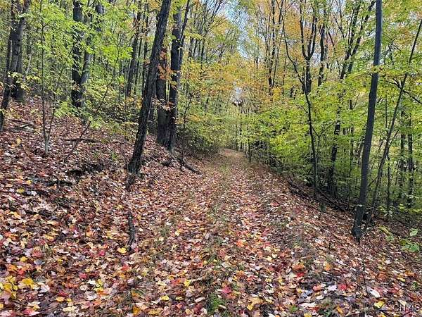16.1 Acres of Recreational Land for Sale in Genesee Town, New York