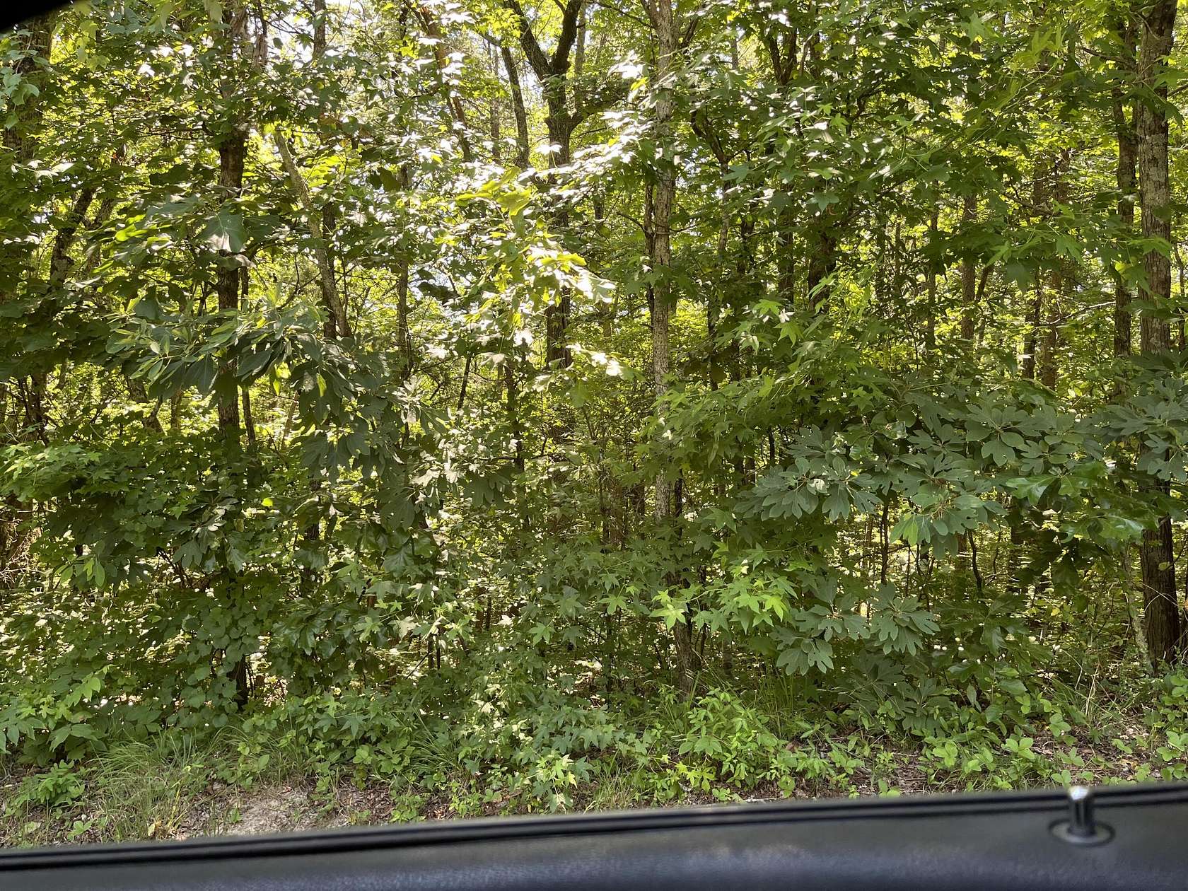 Residential Land for Sale in Soddy-Daisy, Tennessee