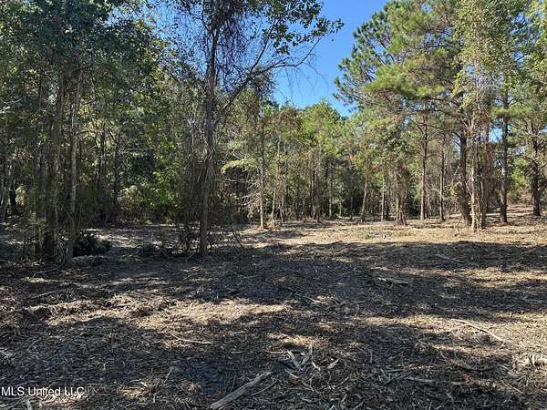 1 Acre of Residential Land for Sale in Waveland, Mississippi