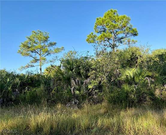 0.28 Acres of Residential Land for Sale in Lehigh Acres, Florida