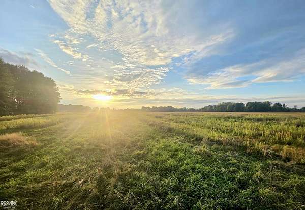 10.5 Acres of Land for Sale in Wales Township, Michigan