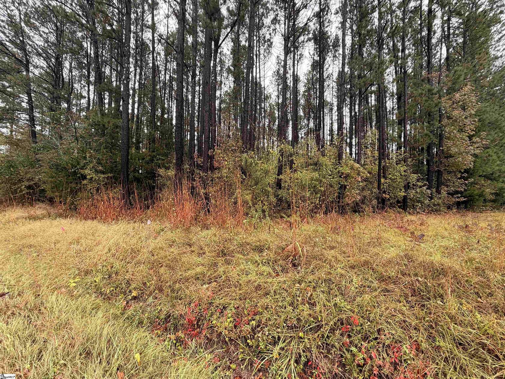 10.8 Acres of Land for Sale in Pelzer, South Carolina