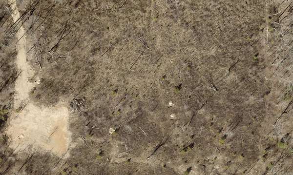 5 Acres of Residential Land for Sale in Lonsdale, Arkansas