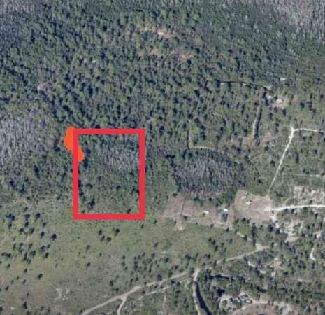 2.54 Acres of Residential Land for Sale in St. Cloud, Florida