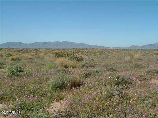 80 Acres of Recreational Land for Sale in Dateland, Arizona