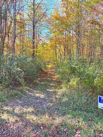 1,371 Acres of Recreational Land for Auction in Meadow Bridge, West Virginia
