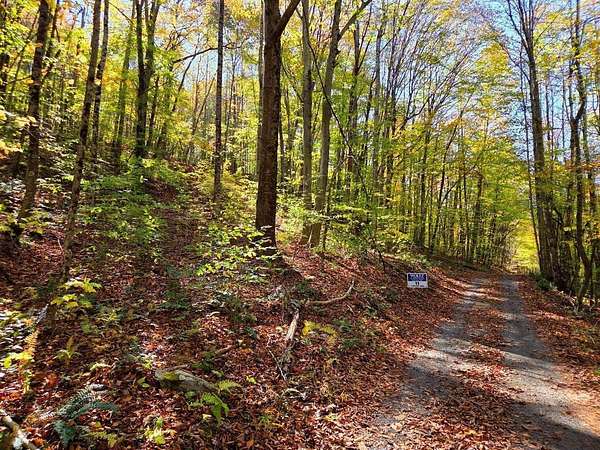 26.4 Acres of Land for Auction in Meadow Bridge, West Virginia